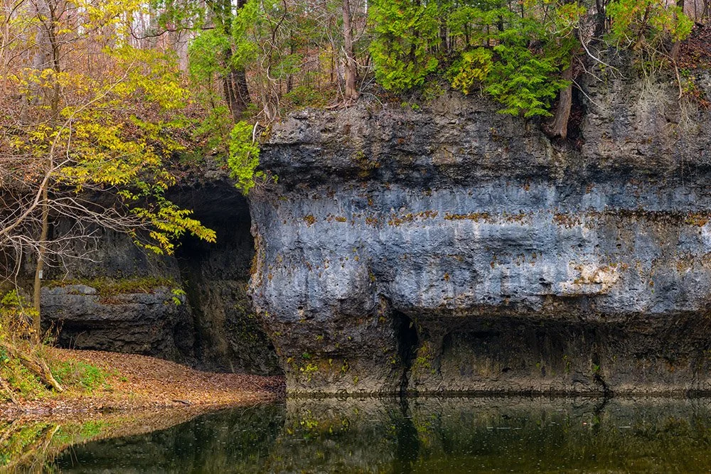 HNS Natural History | Experience Nature Today - Discover